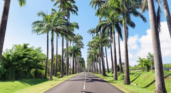 spot-pour-faire-des-photos-guadeloupe
