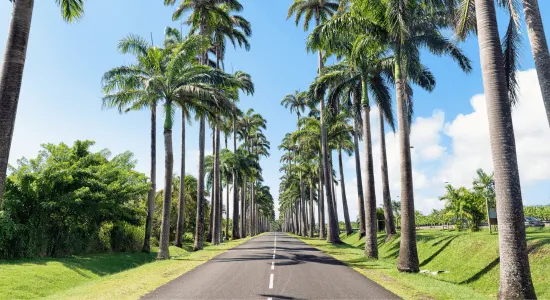 spot-pour-faire-des-photos-guadeloupe