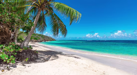 guadeloupe-en-janvier2