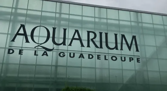 visiter-aquarium-guadeloupe