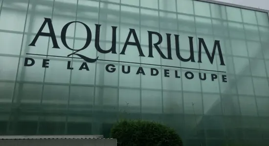 aquarium-de-guadeloupe-gosier