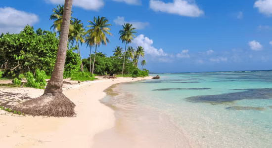 sainte-anne-guadeloupe-plage