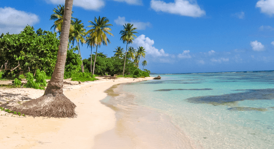 sainte-anne-guadeloupe-beach