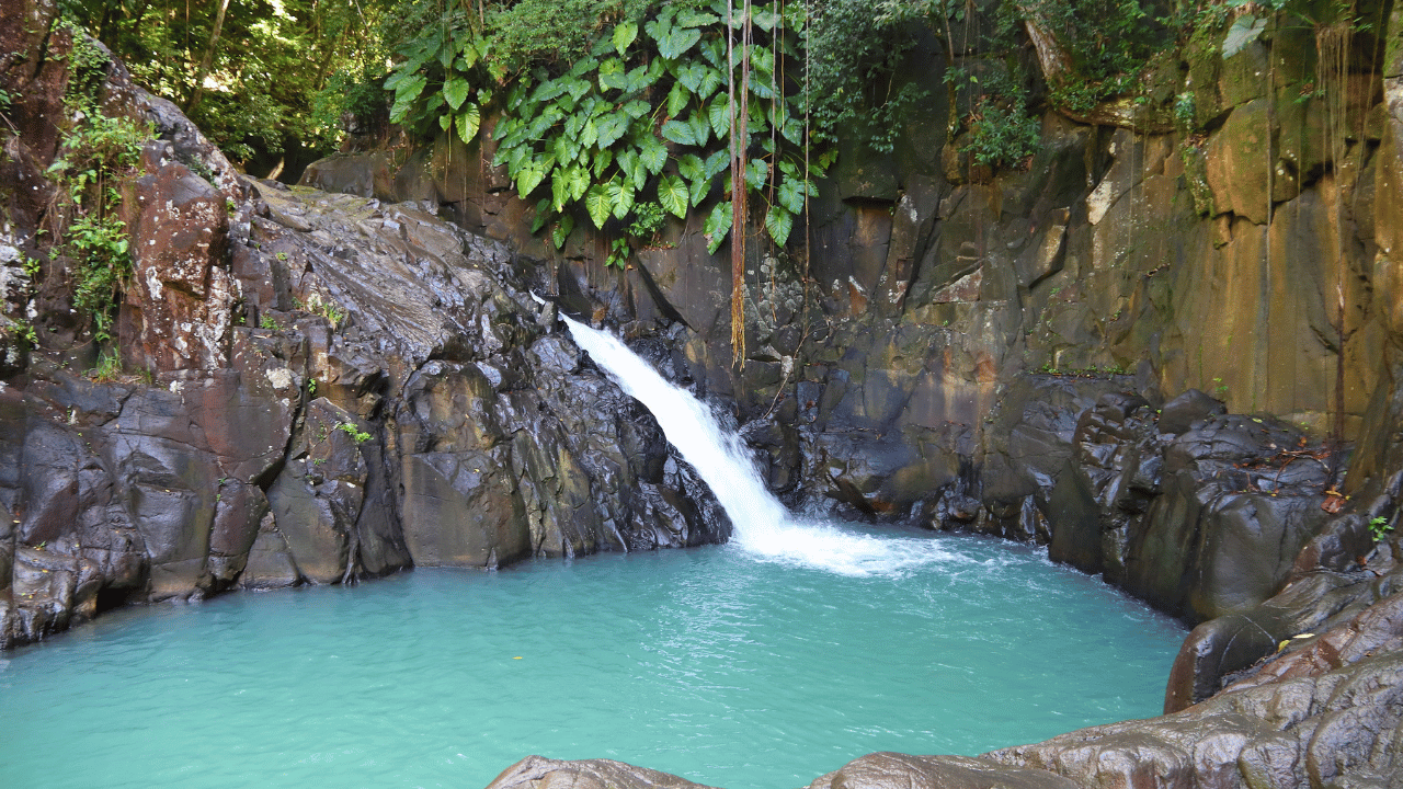 cascade saut acomat location voiture guadeloupe canva pro