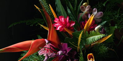 fleur tropicales europcar guadeloupe