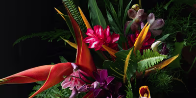 fleur tropicales europcar guadeloupe