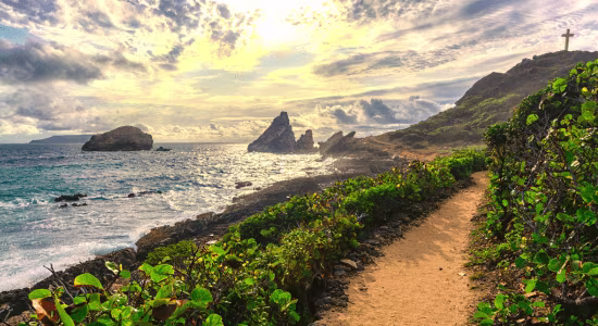 Pointe des Chateaux Saint François Guadeloupe