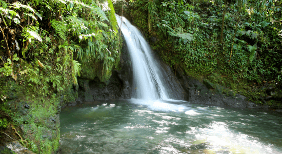 cascade-aux-ecrevisses-guadeloupe