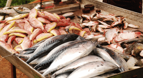 sea and fish festival-guadeloupe