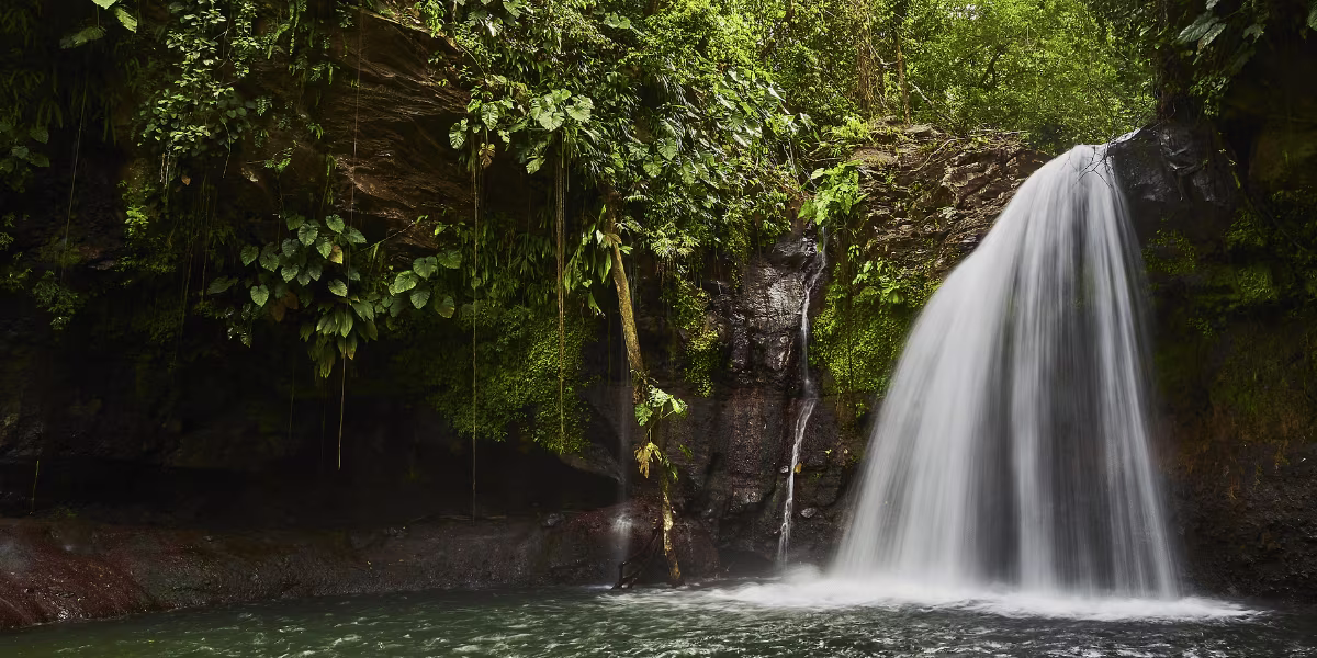 saut lezarde europcar guadeloupe