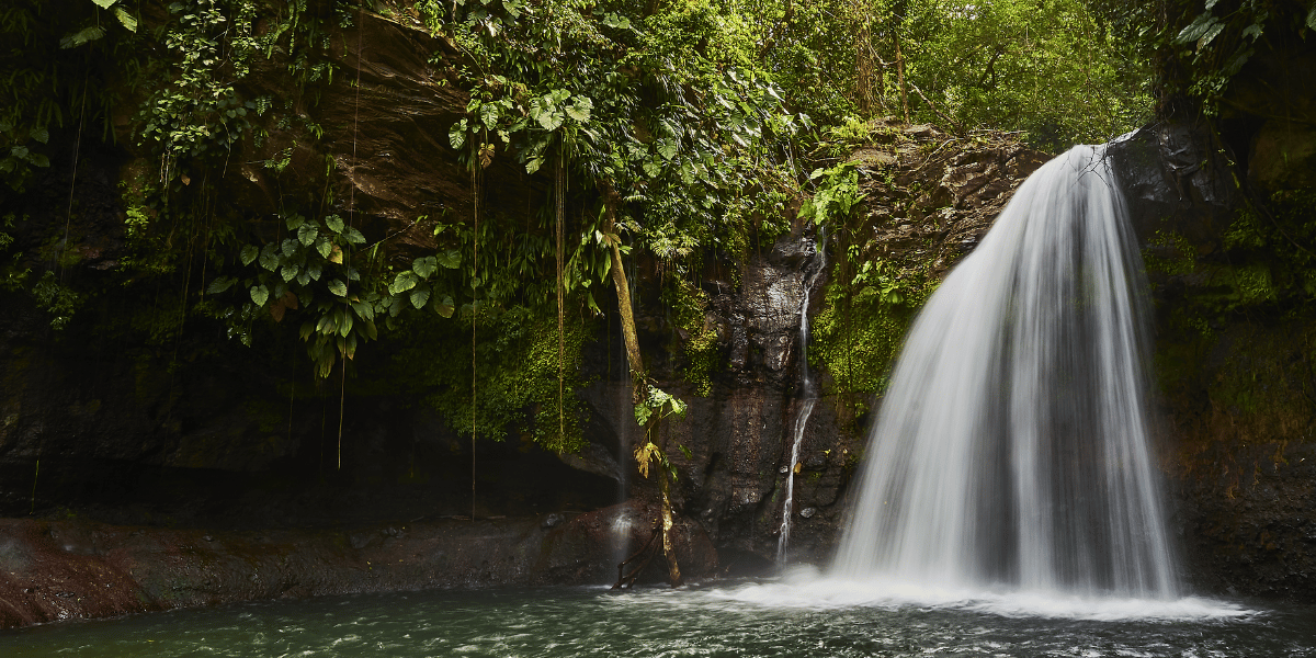 saut lezarde europcar guadeloupe