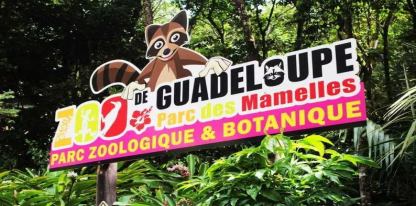 Le Zoo de Guadeloupe au Parc des Mamelles - Bouillante
