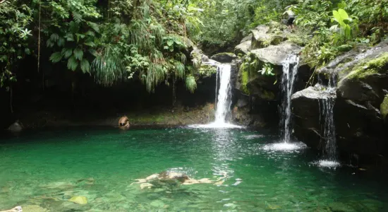 waterfall-paradise-guadeloupe