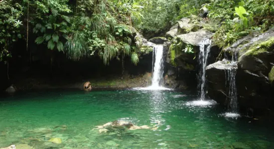 cascade-paradise-guadeloupe