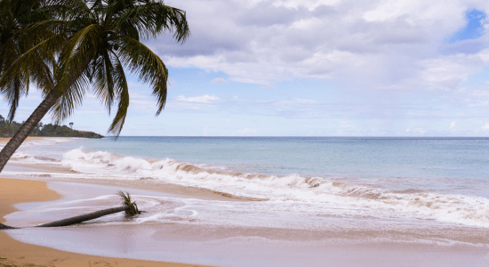plage-grande-anse-guadeloupe
