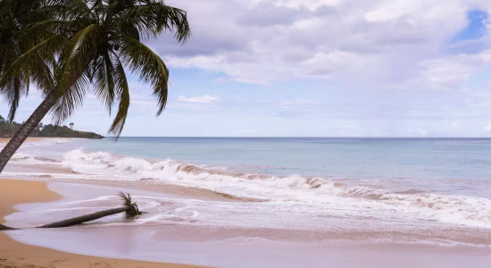 plage-grande-anse-guadeloupe