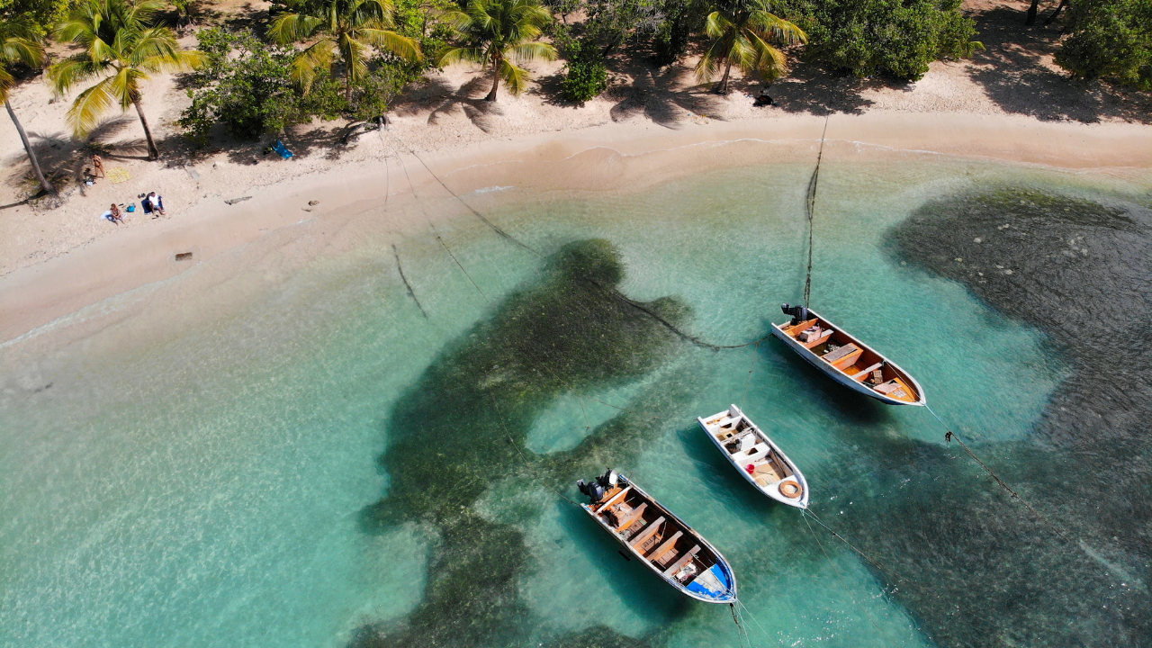 location voiture guadeloupe plage de petit havre gosier canva pro