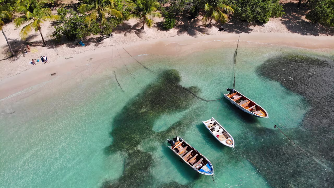 location voiture guadeloupe plage de petit havre gosier canva pro