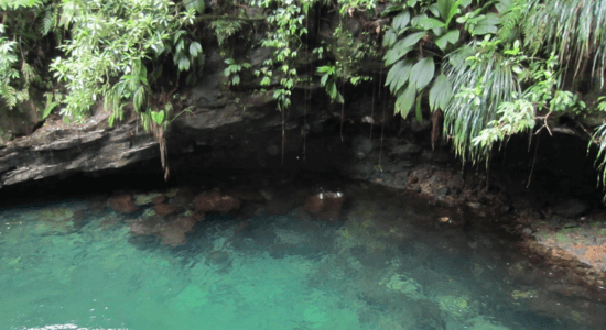 cascade-capesterre-belle-eau-guadeloupe