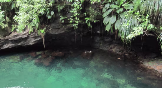 cascade-capesterre-belle-eau-guadeloupe