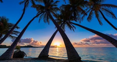 cocotiers europcar guadeloupe