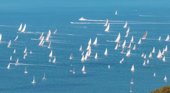boat-race-route-du-rhum-guadeloupe