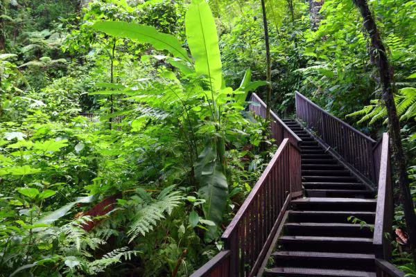 location-voiture-guadeloupe-local-generics-sentier-nature-600x400