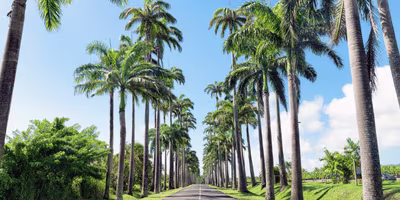 allée dumanoir location voiture guadeloupe 400 200 canva pro