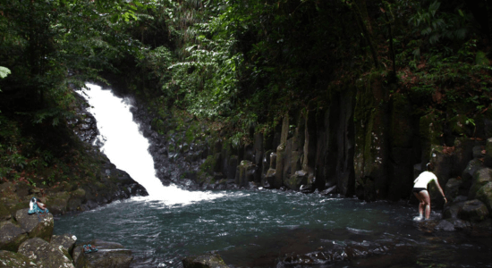 Parc-de-la-Grivelière-guadeloupe