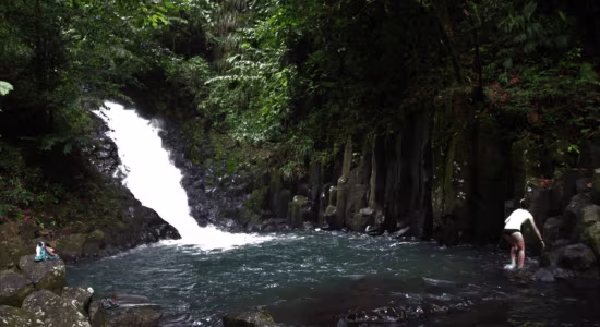 Parc-de-la-Grivelière-guadeloupe