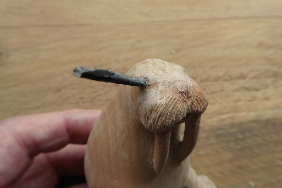 bit of horn pushed in partially carved walrus eye to be trimmed later