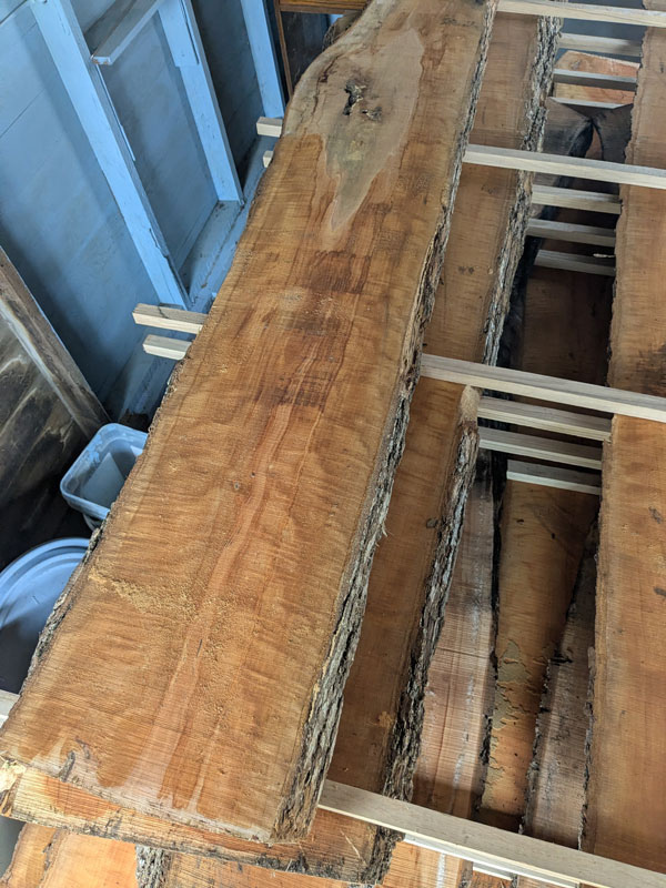 bradford pear planks