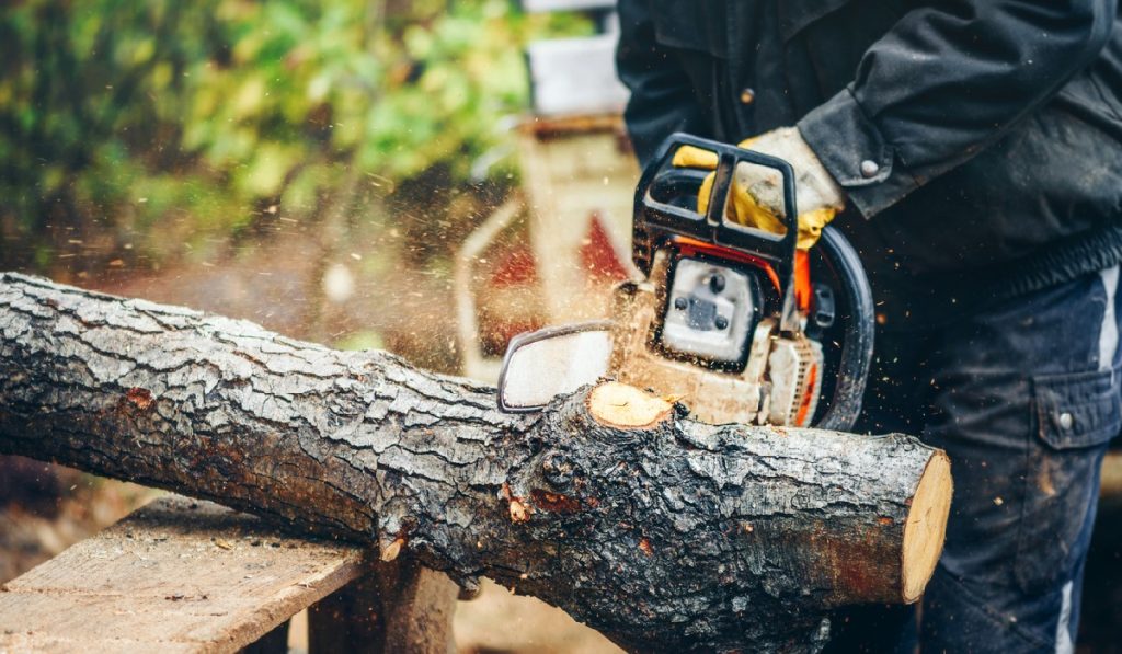 How To Find The Best Deal on Firewood Near You