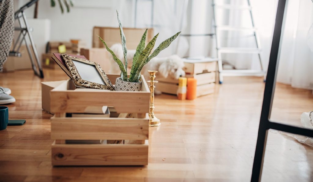 How To Build a High-Quality Wooden Box Frame