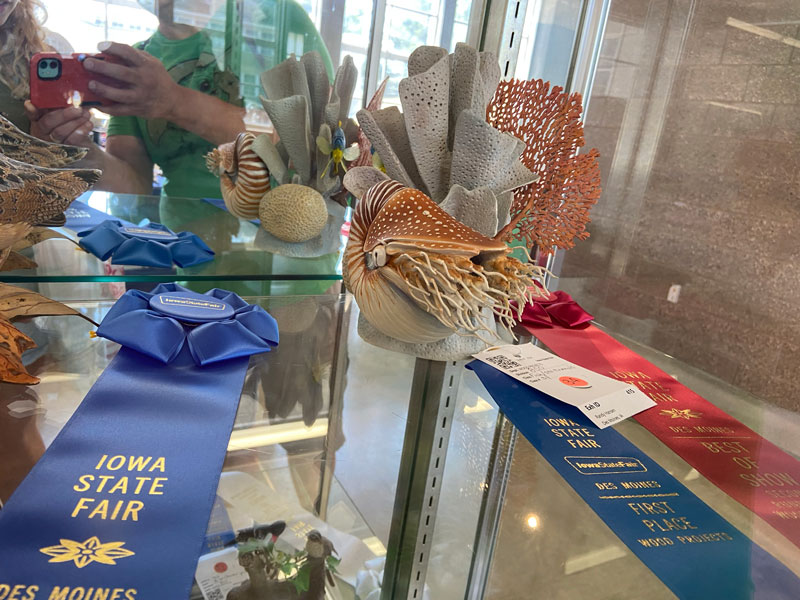 Iowa state fair project carved wood nautilus