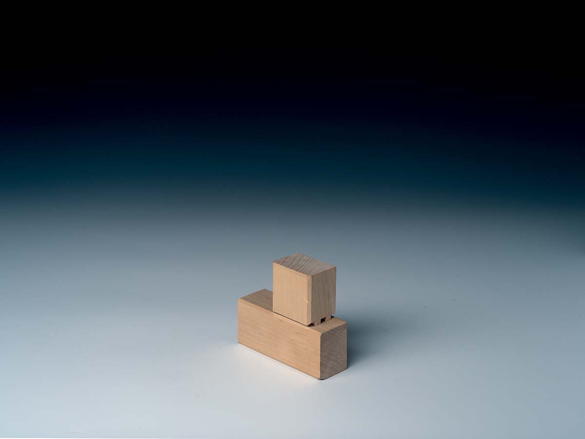 image example of double joint tenon between wood blocks