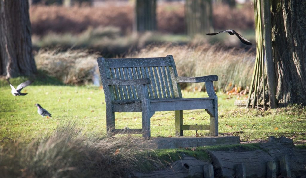 Wood vs. Steel: Which Material Makes the Best Memorial Bench?