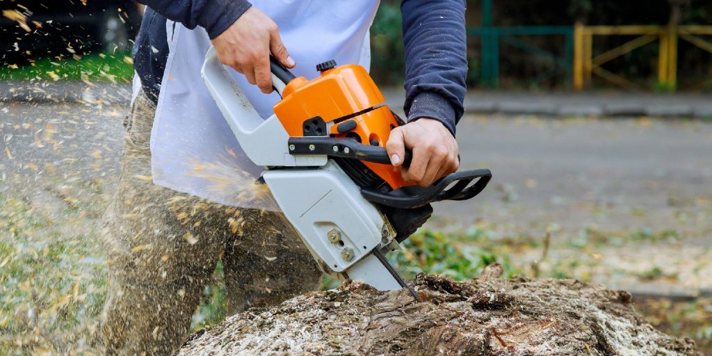 How To Cut Down a Tree: A Step-by-Step Guide