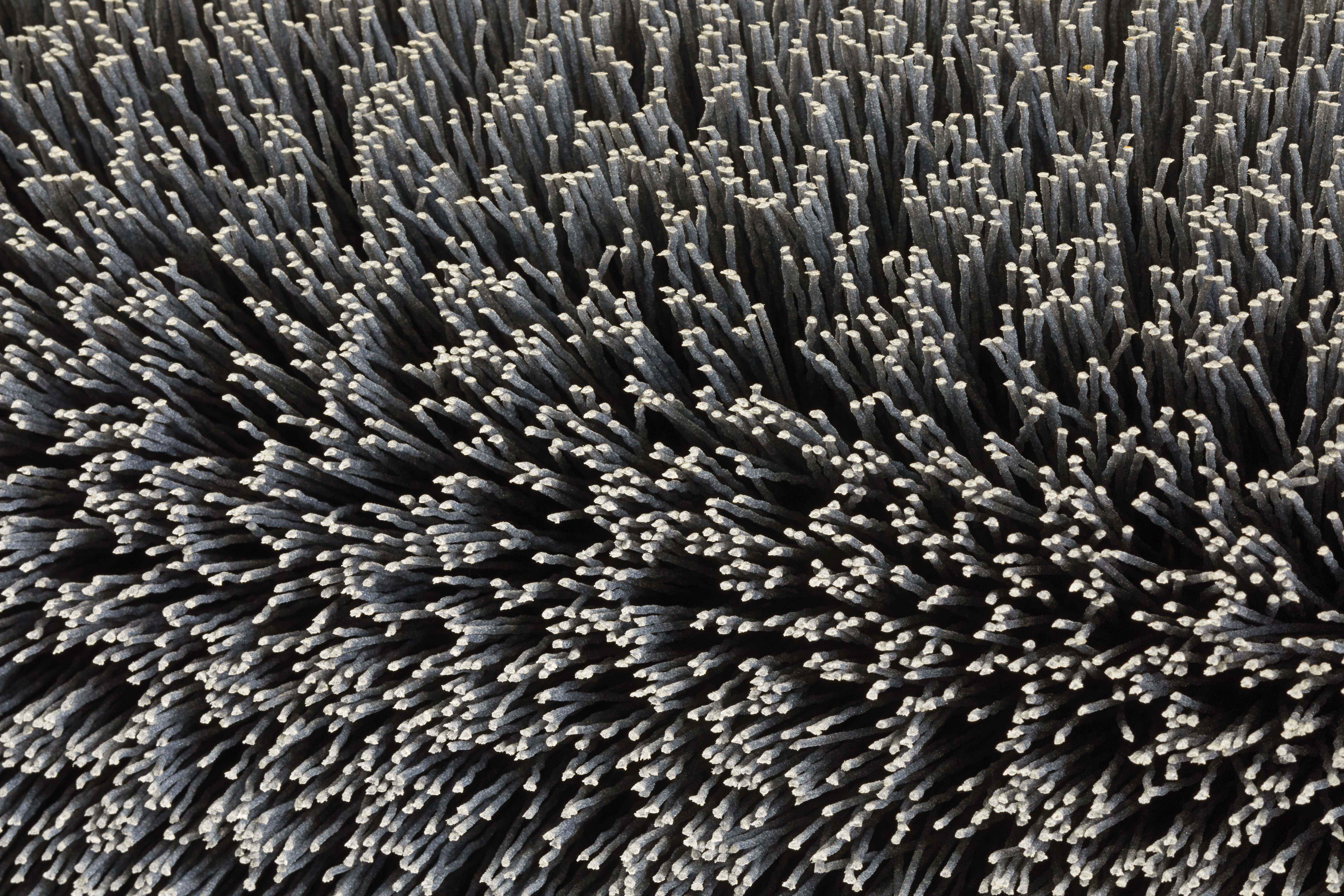 Close uo of the abrasive bristles of the GRIZZLY BRUSH SANDER