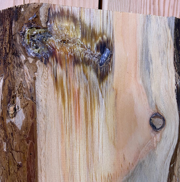 Image of a bullet embedded into a board