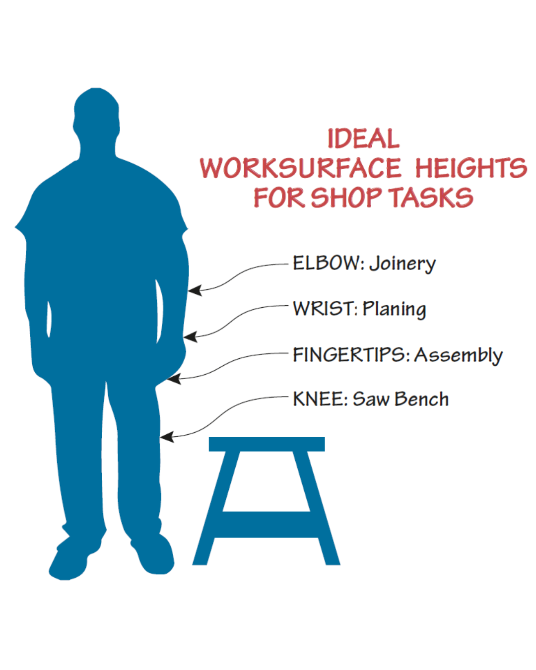 graphic of adult man with arrows point to best heights for working with joinery, planing, assembly, and saw bench