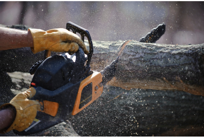 Best Electric Pole Saws 2024