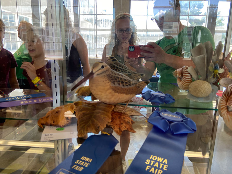Iowa state fair woodworking project carvings woodcock