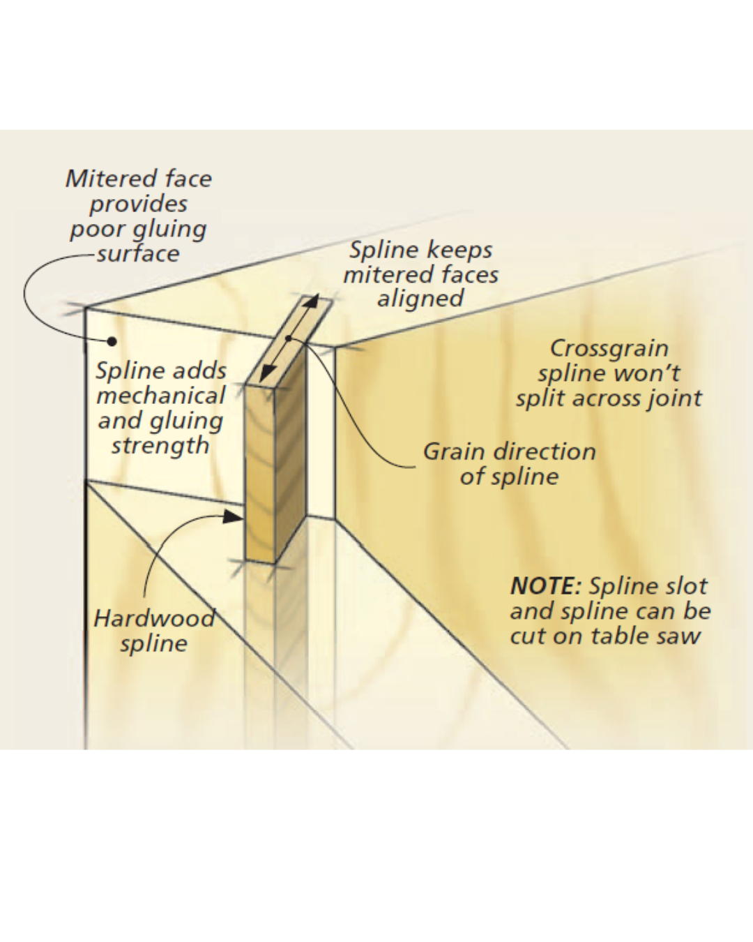 Diagram of how to add a spline