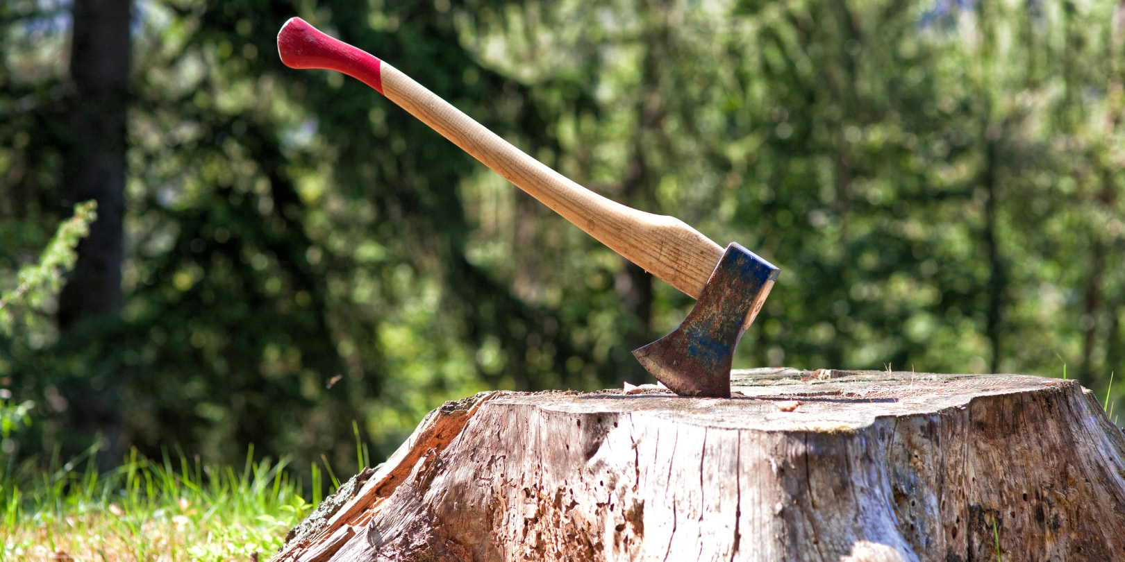 3 Types of Axes Every Woodworker Should Own
