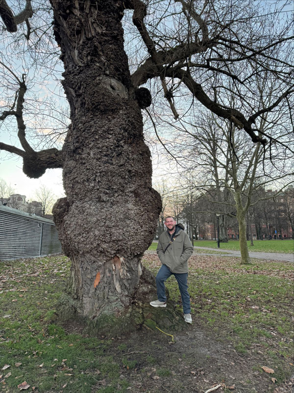 ShopNotes podcast 257 Sweden burl tree