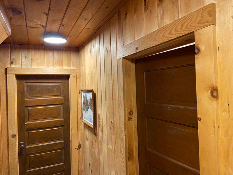 Cabin doors