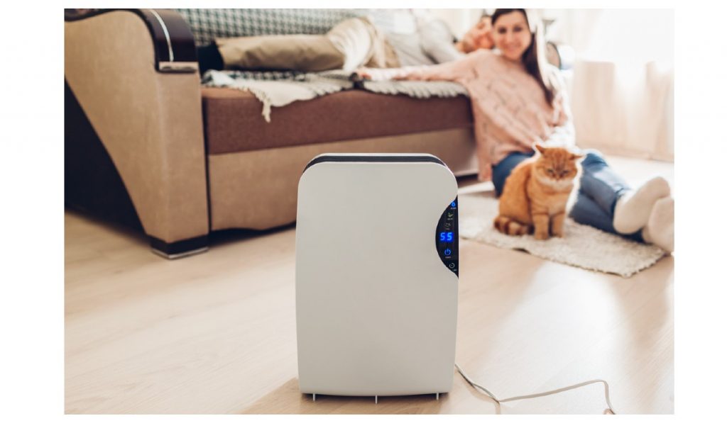 Where Should You Keep a Dehumidifier in Your Home?