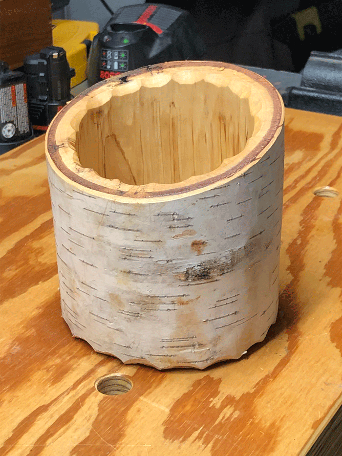 Birch log shrink pot by Phil Huber