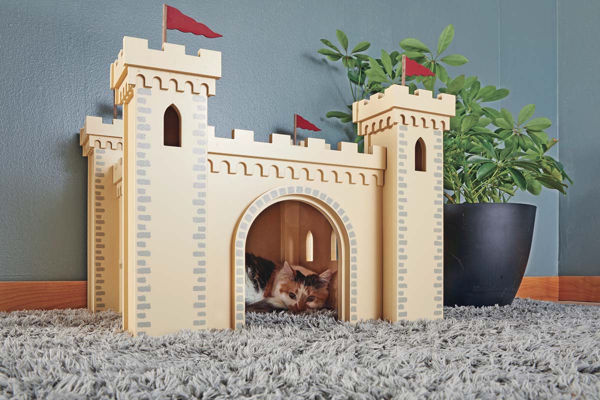 image of cat in cat castle